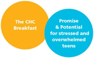 Promise and Potential for stressed and overwhelmed teens